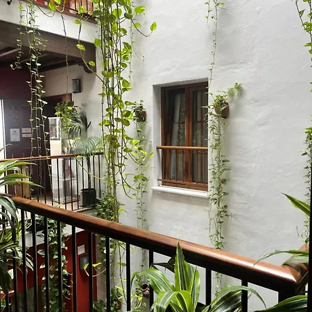 Al-andalus 콘일데라프론테라