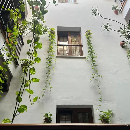 Guest house Al-andalus *